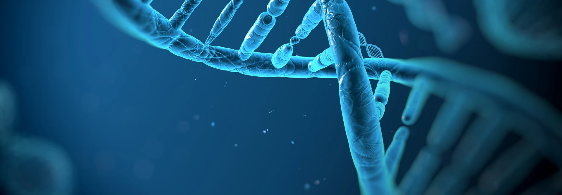 body-genetic